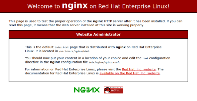 Nginx image